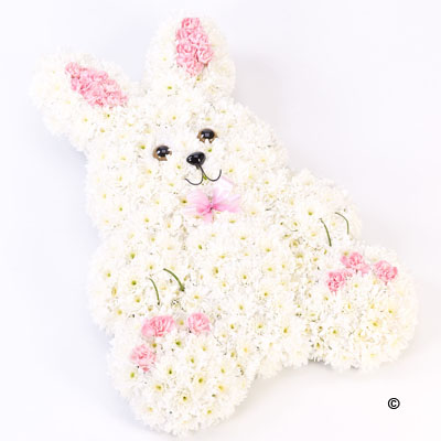 ZZ Rabbit
